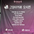 뚱냥한하루 네이버블로그