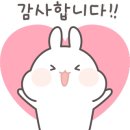 하얀카페