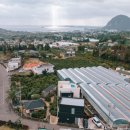 별시도룩 이미지