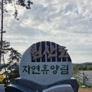 [충남/보령] 원산도자연휴양림 솔향채 1호 숙박후기 (2026년 신축 개장 휴양림) 예약 꿀팁