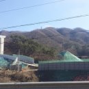 쌍치면사무소 티스토리