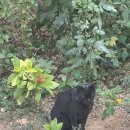 구룡공원 화장실 이미지