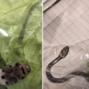 고향마트 이미지