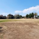 신산초난산분교장 이미지