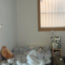 자매떡볶이(학동점) | 광고피디 퇴사까지 퇴사로그 ~