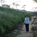 동강시스타 이미지