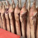 영일축산 이미지