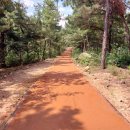 중앙공원 이미지