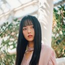 스타일펫츠 이미지