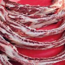 하누리 1목장 이미지