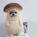 강아지랑 고양이 | 페노비스 오랄펫 강아지 입냄새 때문에 선택한 강아지 고양이 치약 사용후기