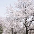 힐 스프링 이미지