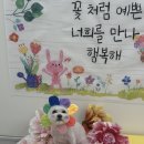 멍균관대 이미지