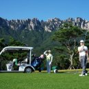 대명골프클럽 이미지