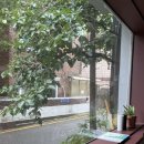 청두곶6길 8 이미지