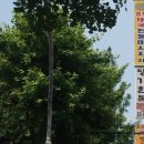 노원-상계-2580 이미지