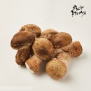 송광버섯