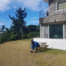 대피소 울릉 이미지