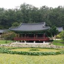 천축산펜션 이미지