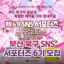 청년피자 화명점 | 부산 북구 SNS서포터즈 6기 정보 및 활동안내 이번 공고는 꼭!!