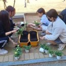 대전삼육중학교 이미지