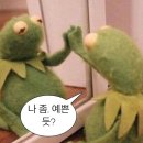 나우브로우