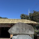 도심다원 | [구례/하동 여행] 하동 2일차 : 화개 장터, 이시마 표고버섯밥, 밤톨, 쌍계사, 도심다원