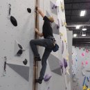 5만 스퀘어 규모의 엄청난 인도어 Rock Climbing 센터가 오스틴에 오픈했습니다 이미지