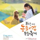 사하동물의료원 네이버블로그