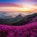 천주산 등산로 이미지