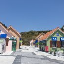 보성녹돈삼합 이미지