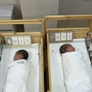세탁도우미 | 전주 쌍둥이 산후도우미 참사랑어머니회 전주점 이용 후기