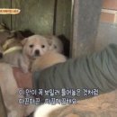 없음 이미지