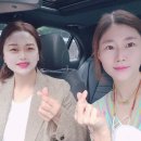 인셀덤 서울본부 안성