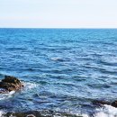 동백바다 이미지