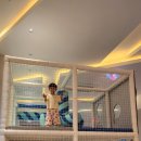 킹덤키즈-D 이미지