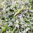 경산(서울) 이미지