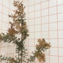 궤도에오르다 암사점 이미지