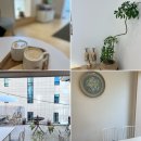 SILLA | 종로5가] 예쁨주의 인테리어가 돋보이는 카페 Silla