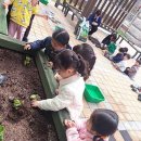 우리유치원 이미지