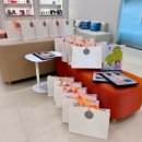 오송다시봄날의원 이미지