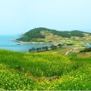 나한의원(쌍봉사거리) 이미지