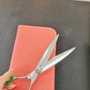 (주)한국반려동물아카데미 이미지