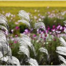 정심농장 이미지