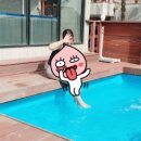 나오스빌라 이미지