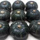 밤 피티 앤 필라테스 이미지