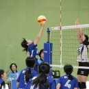 강원자치도교육청, ‘제16회 전국 학교스포츠클럽축전 배구 경기’ 성황리에 개최 이미지