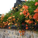 수로왕릉 이미지