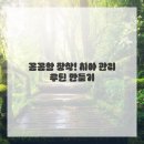 미소 피부관리