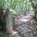 동학사1·2로 이미지